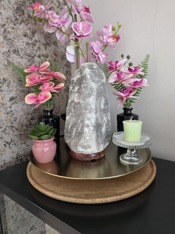 Grijze Himalaya Zoutlamp op Houten Voet