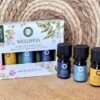 Etherische olie aromatherapie set Wellness