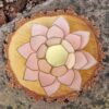 Lotus sfeerlicht pastel roze - Afbeelding 3